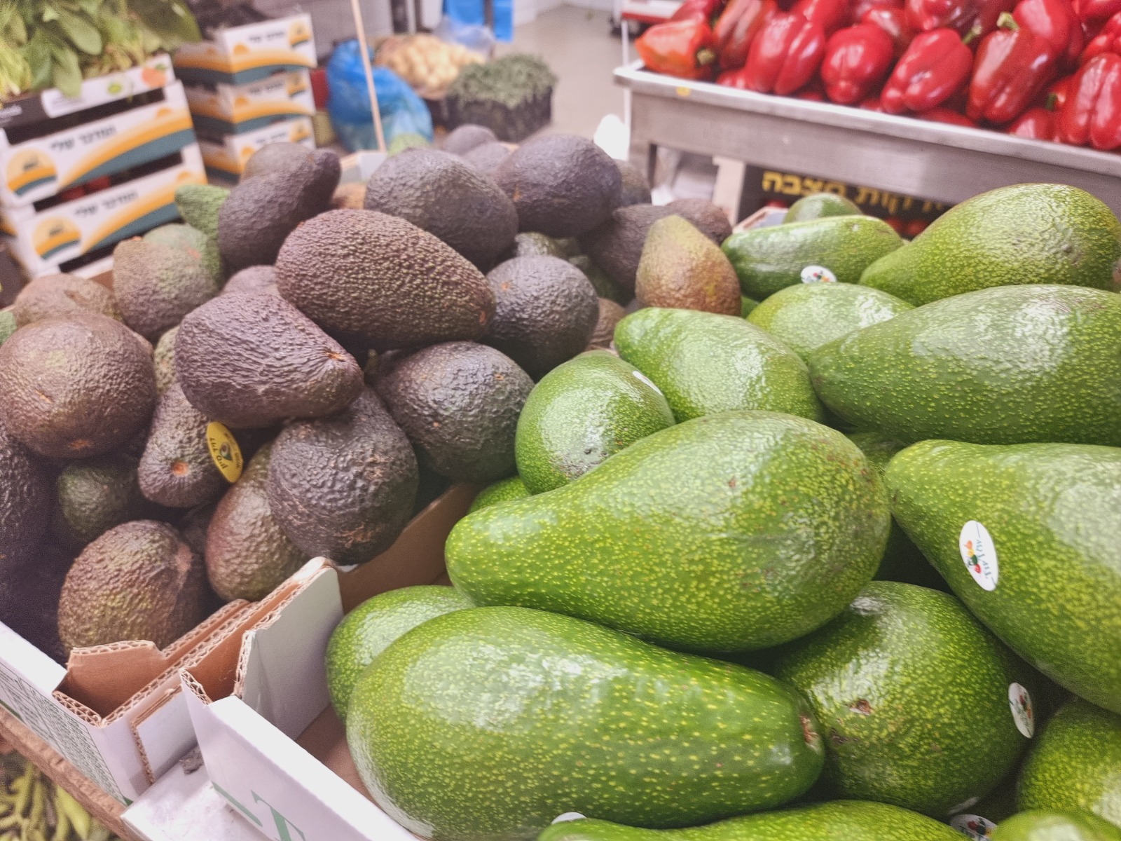 WhatsApp Image 2022-03-29 at 1.25.07 PM.jpg